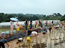 “六一遇端午 粽享童趣”—興瀘投資集團機關工會開展親子戶外活動