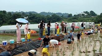 “六一遇端午 粽享童趣”—興瀘投資集團(tuán)機(jī)關(guān)工會(huì)開展親子戶外活動(dòng)